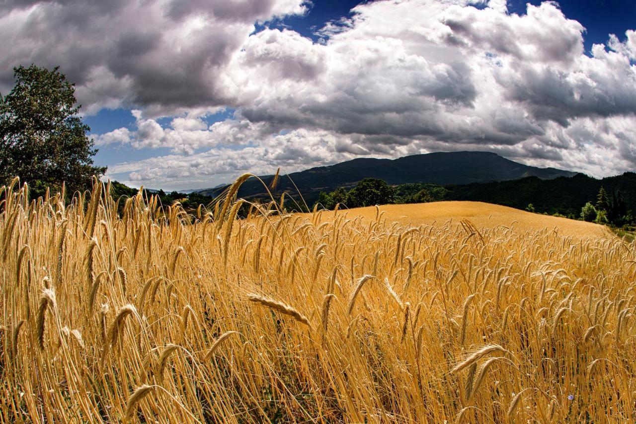 Agriturismo Biologico Autosufficienza Bagno di Romagna Dış mekan fotoğraf