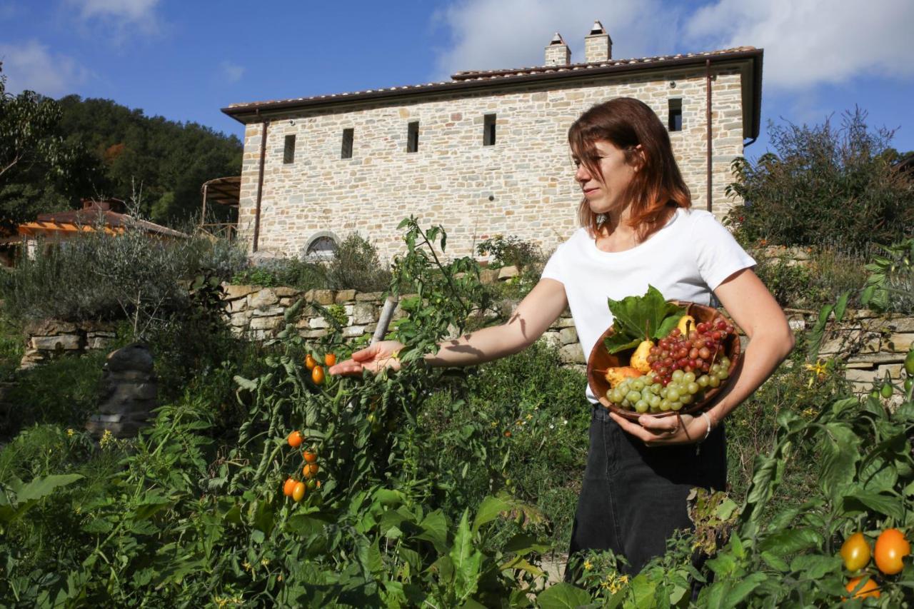 Agriturismo Biologico Autosufficienza Bagno di Romagna Dış mekan fotoğraf